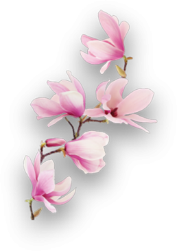 Vida 1 Concepto Deco1 4 Uai