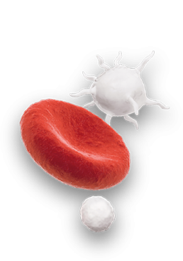 Conocimiento 2 Concepto Deco2 4 Uai