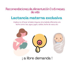 Blog Ninosetapas Img2 2 Uai