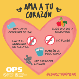 Corazon_1 2 Corazon 1 Uai