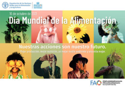 Art-51 2 Art 51 Uai