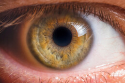 Blog2 120322 Cover Uai